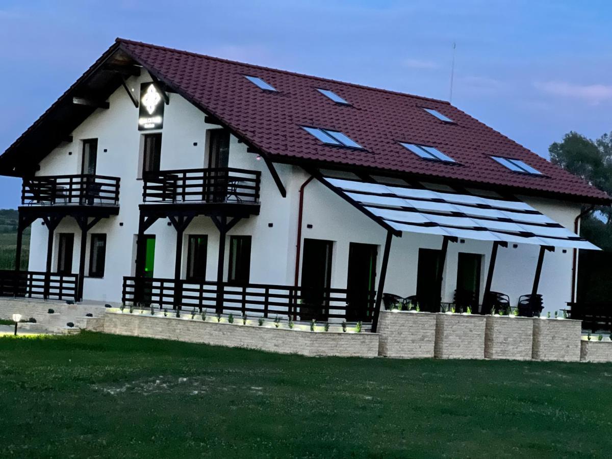 Casa Cu Flori Maramures Бая Маре Екстериор снимка