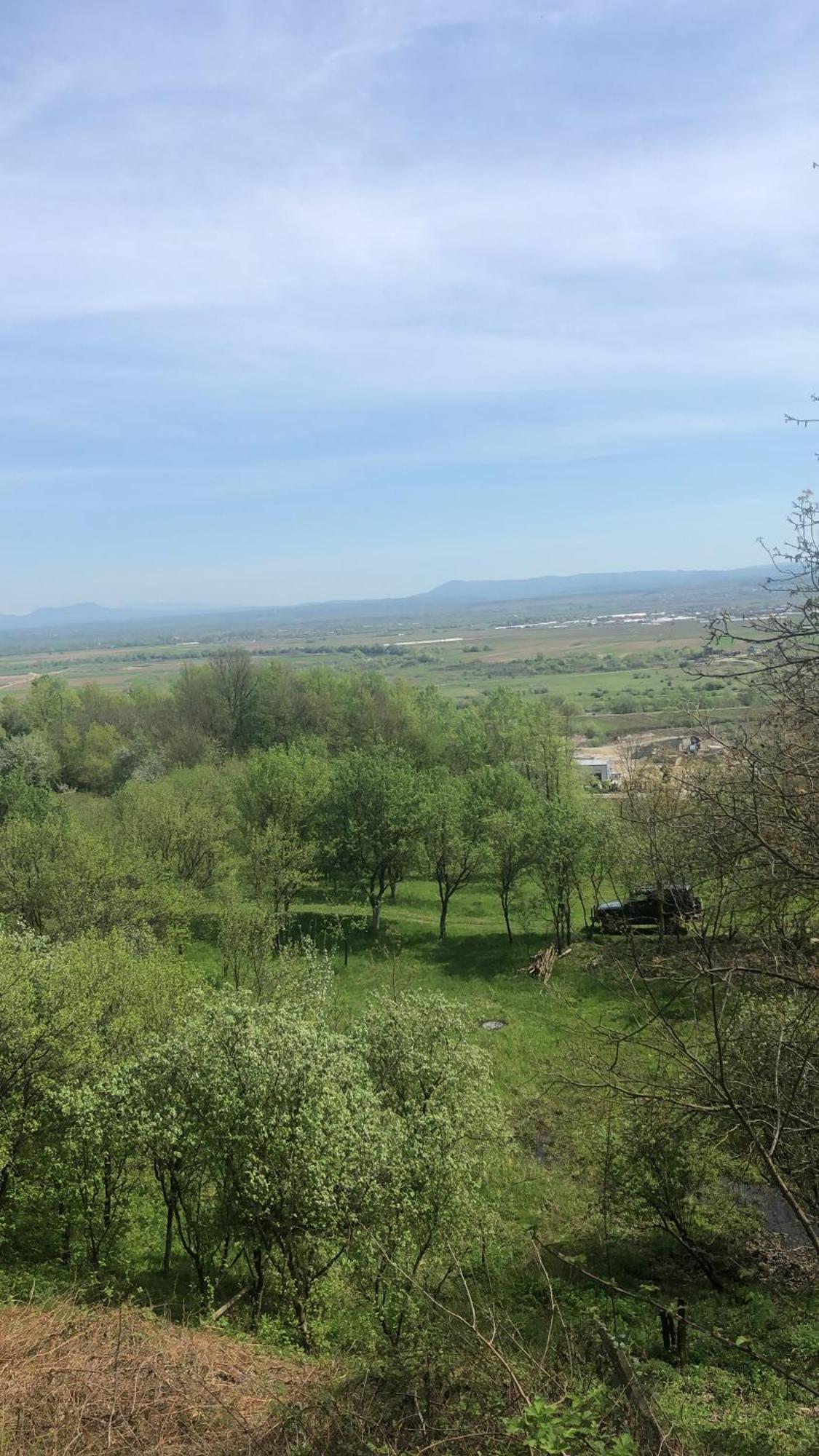 Casa Cu Flori Maramures Бая Маре Екстериор снимка